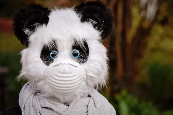 SpinShake Casino Podrška